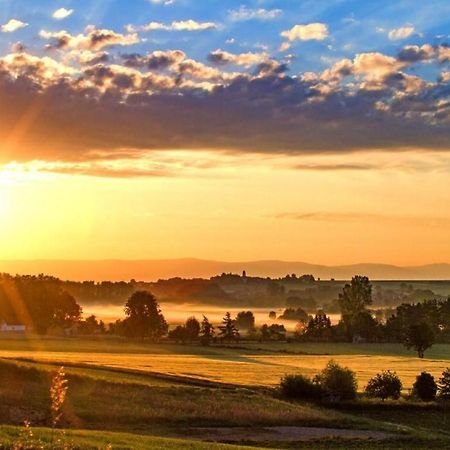 Bergkiefer - Ferienwohnung Oy-Mittelberg Dış mekan fotoğraf