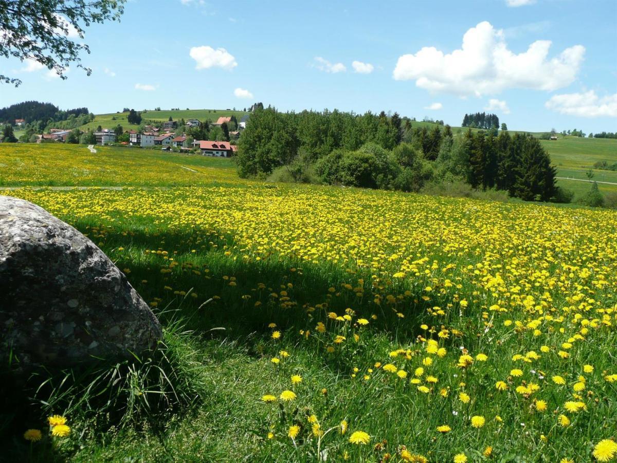 Bergkiefer - Ferienwohnung Oy-Mittelberg Dış mekan fotoğraf